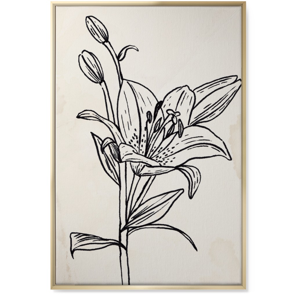 Vintage Lily Sketch - Beige and Black Wall Art, Gold, Single piece, Canvas, 24x36, Beige