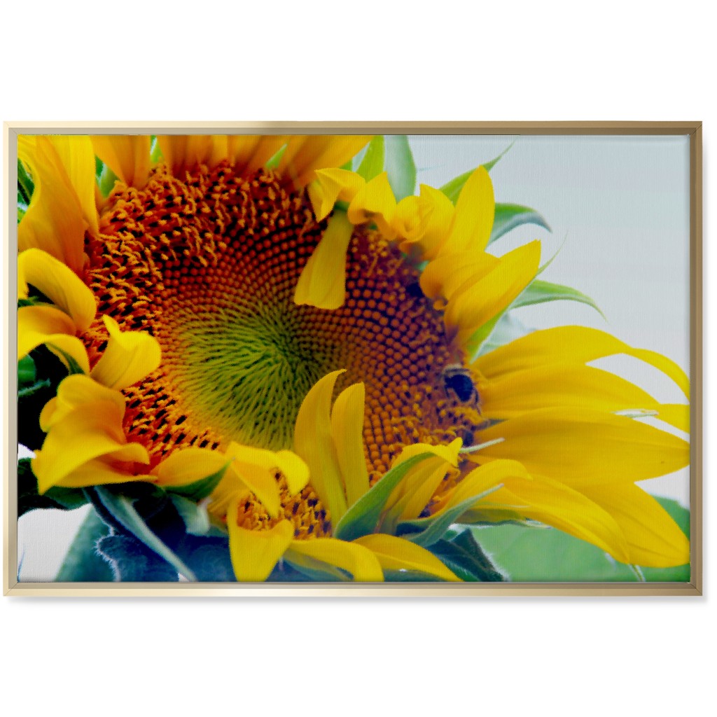 Sunflower and Bee - Yellow Wall Art, Gold, Single piece, Canvas, 24x36, Yellow