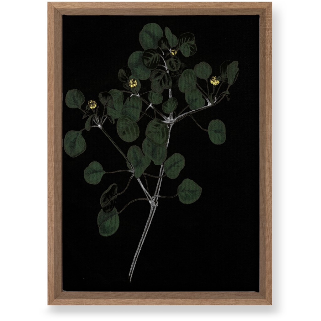 Midnight Botanical Sprig With Leaves - Black and Green Wall Art, Natural, Single piece, Canvas, 10x14, Black, Black