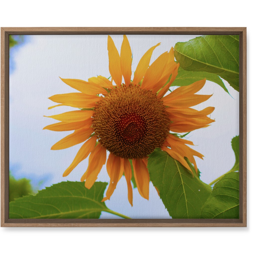 Sunny Sunflower - Yellow Wall Art, Natural, Single piece, Canvas, 16x20, Yellow