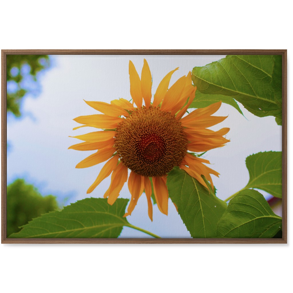 Sunny Sunflower - Yellow Wall Art, Natural, Single piece, Canvas, 24x36, Yellow