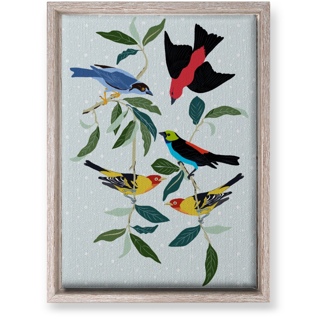 Colorful World of Tanagers Wall Art, Rustic, Single piece, Canvas, 10x14, Multicolor