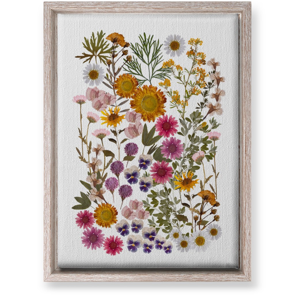 Pressed Flowers on White Wall Art, Rustic, Single piece, Canvas, 10x14, Multicolor