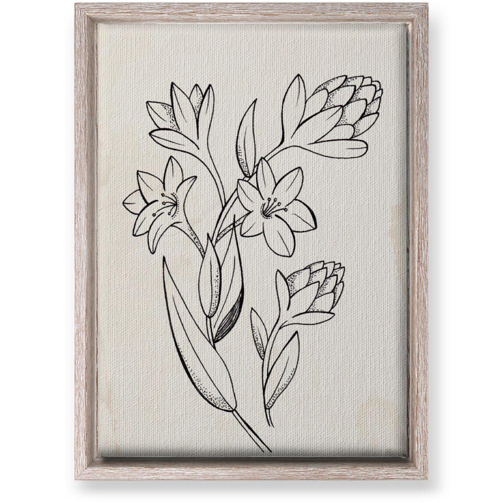 Vintage Tuberose Sketch - Beige and Black Wall Art, Rustic, Single piece, Canvas, 10x14, Beige, Pearl