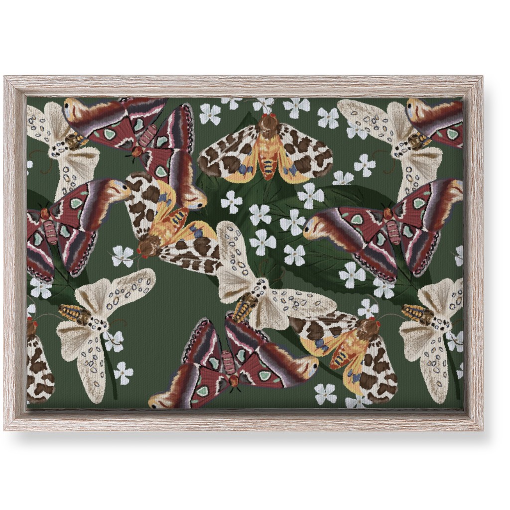 Moth Frenzy - Multi Wall Art, Rustic, Single piece, Canvas, 10x14, Multicolor