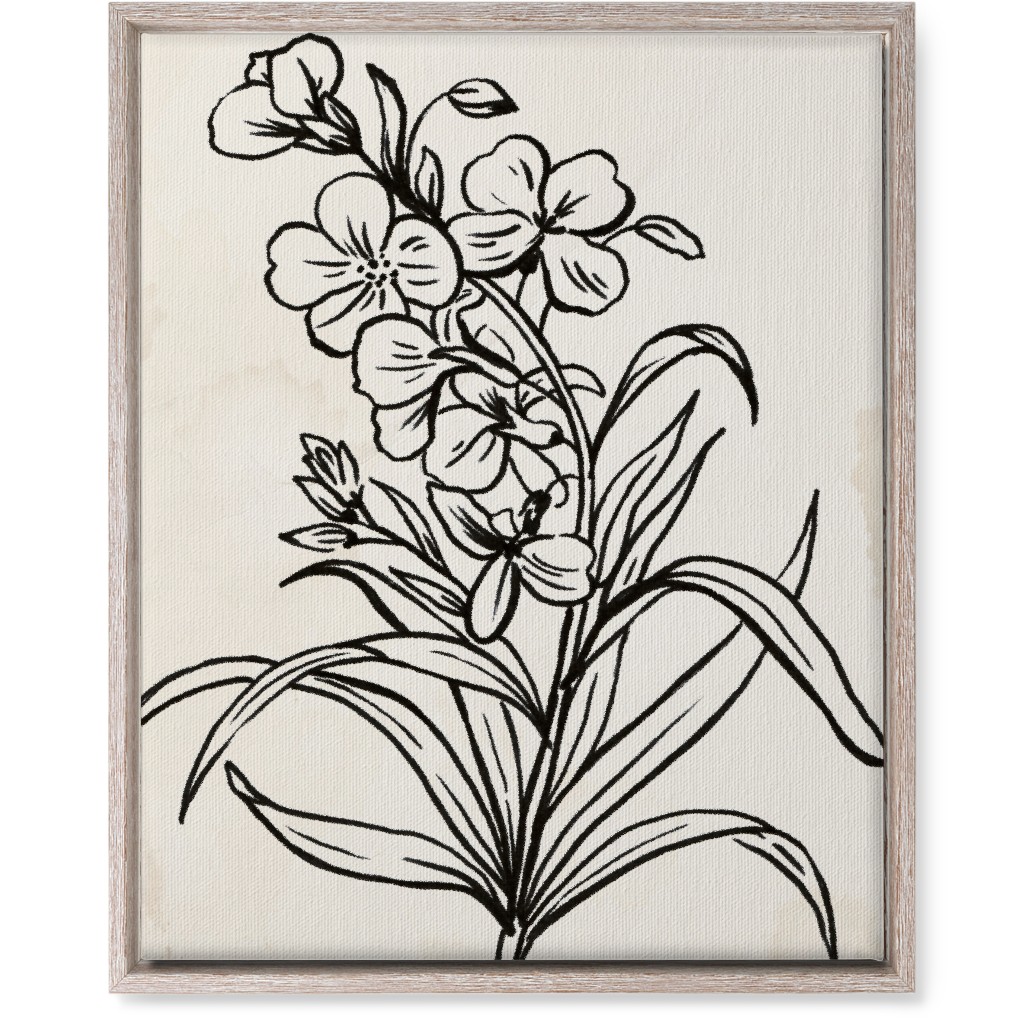 Vintage Wallflower Sketch - Beige and Black Wall Art, Rustic, Single piece, Canvas, 16x20, Beige