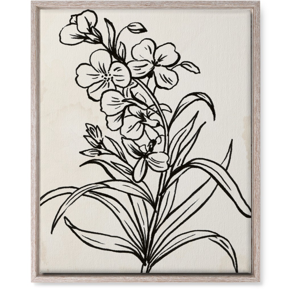 Vintage Wallflower Sketch - Beige and Black Wall Art, Rustic, Single piece, Canvas, 16x20, Beige, Pearl