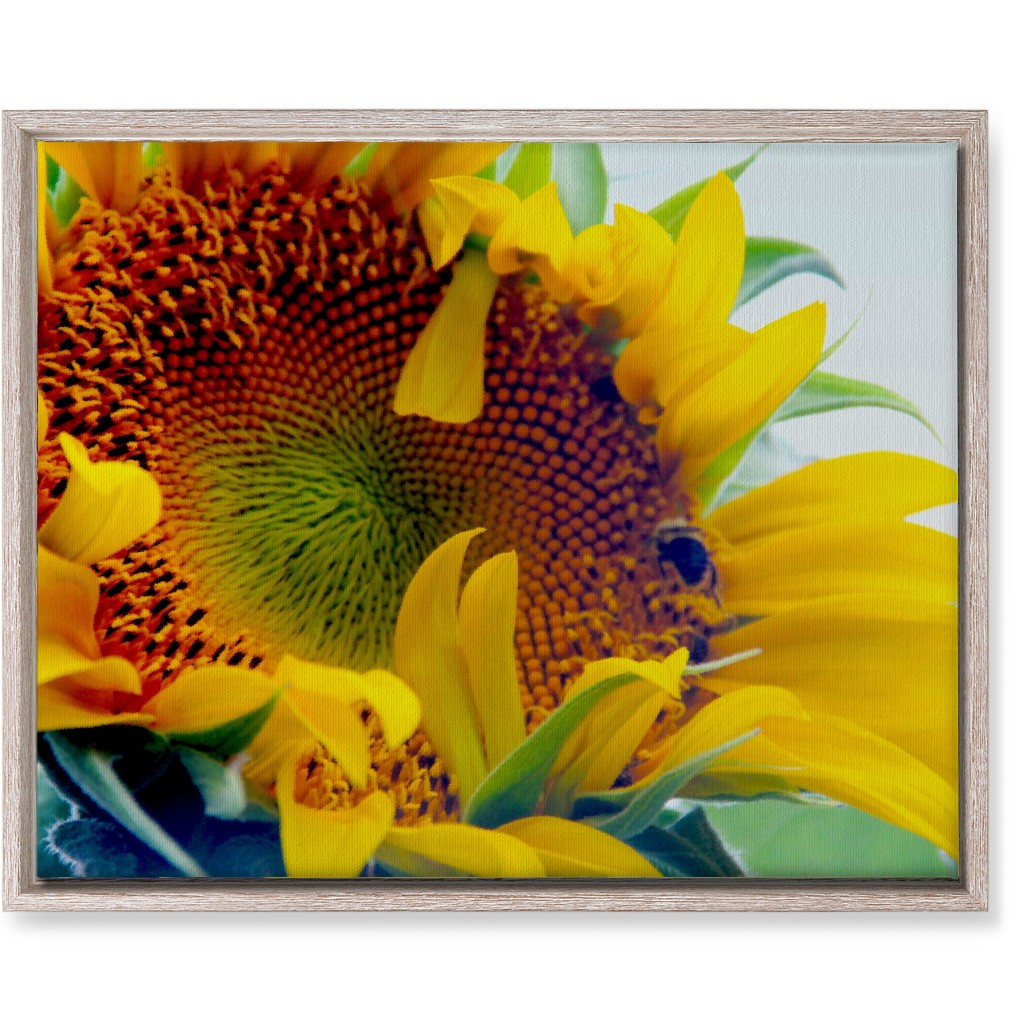 Sunflower and Bee - Yellow Wall Art, Rustic, Single piece, Canvas, 16x20, Yellow