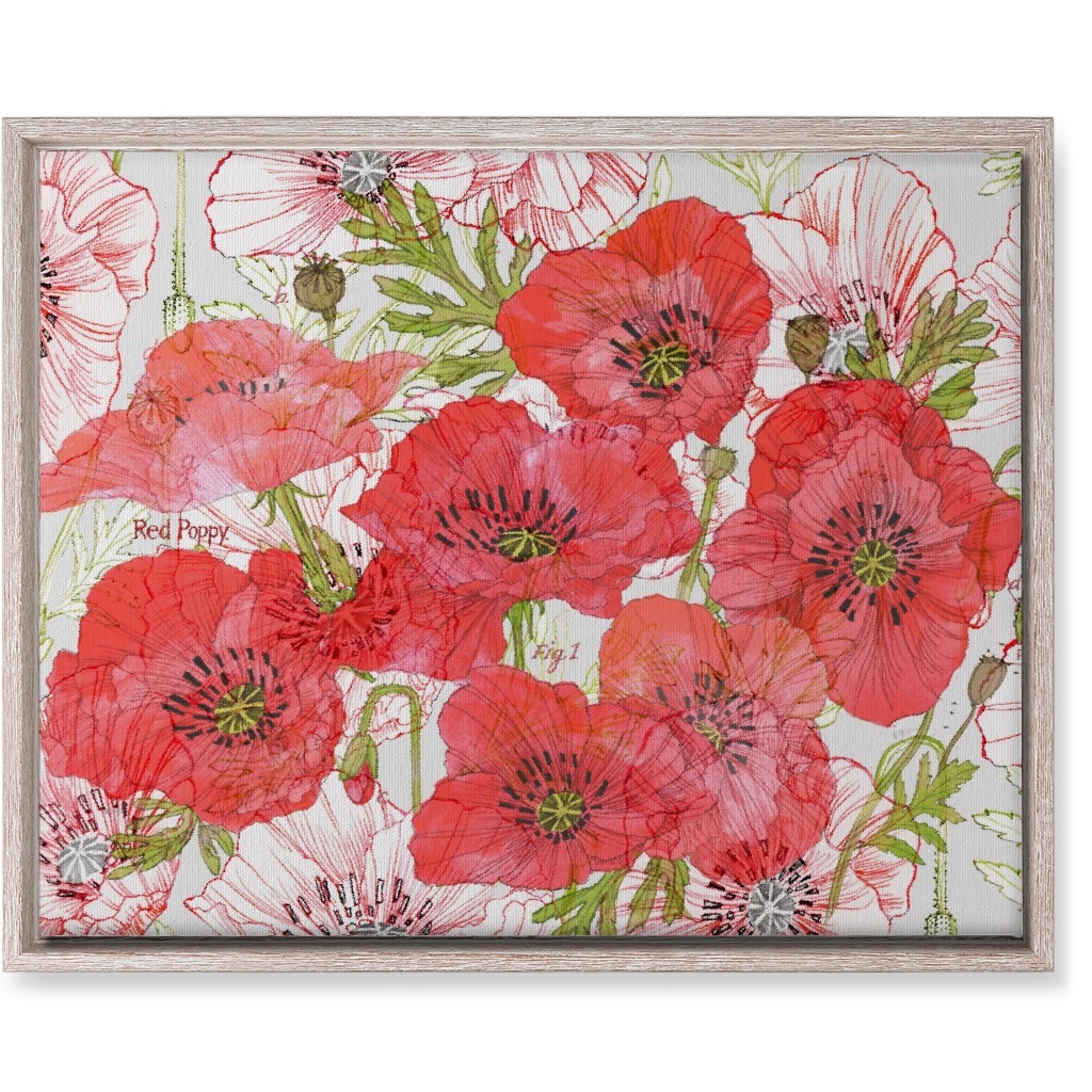 Poppy Romance - Red Wall Art, Rustic, Single piece, Canvas, 16x20, Red