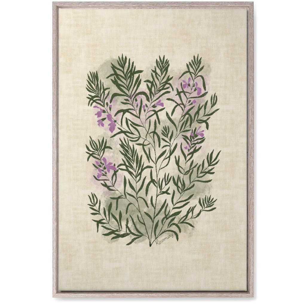 Rosemary - Botanical Illustration Wall Art, Rustic, Single piece, Canvas, 20x30, Beige