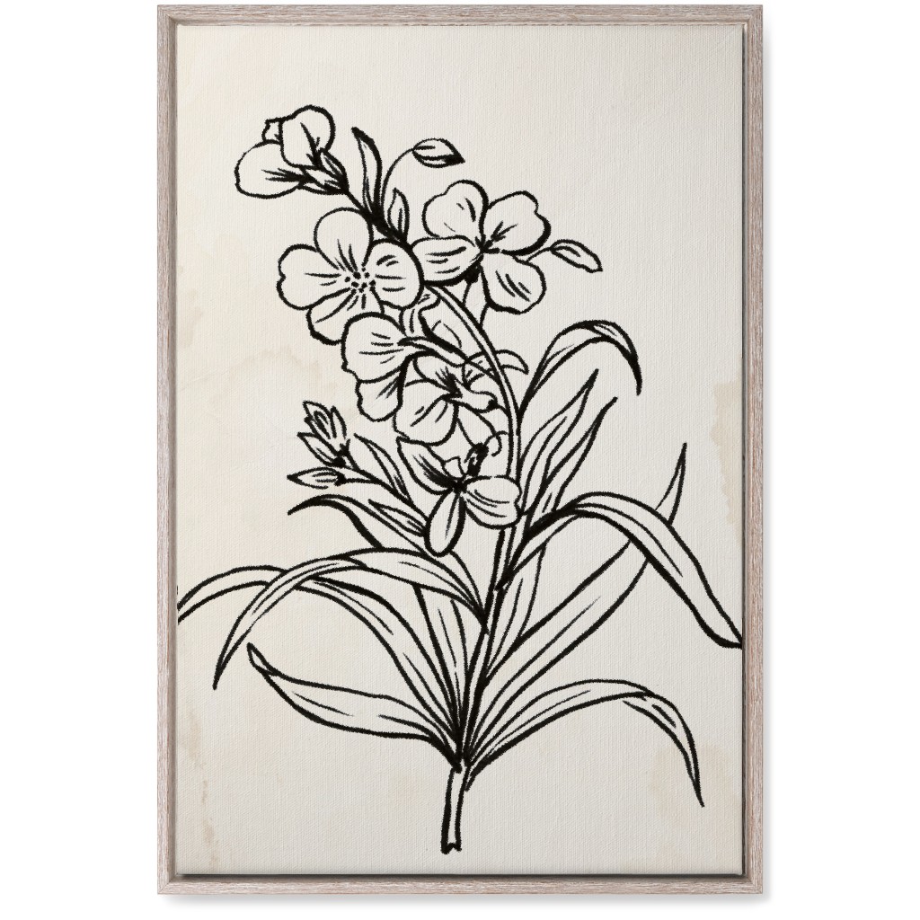 Vintage Wallflower Sketch - Beige and Black Wall Art, Rustic, Single piece, Canvas, 20x30, Beige, Pearl
