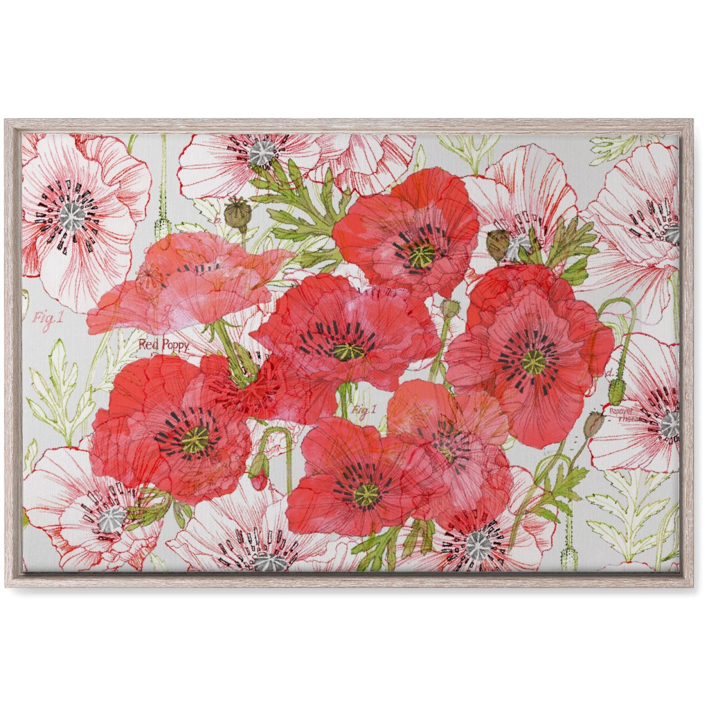 Poppy Romance - Red Wall Art, Rustic, Single piece, Canvas, 20x30, Red
