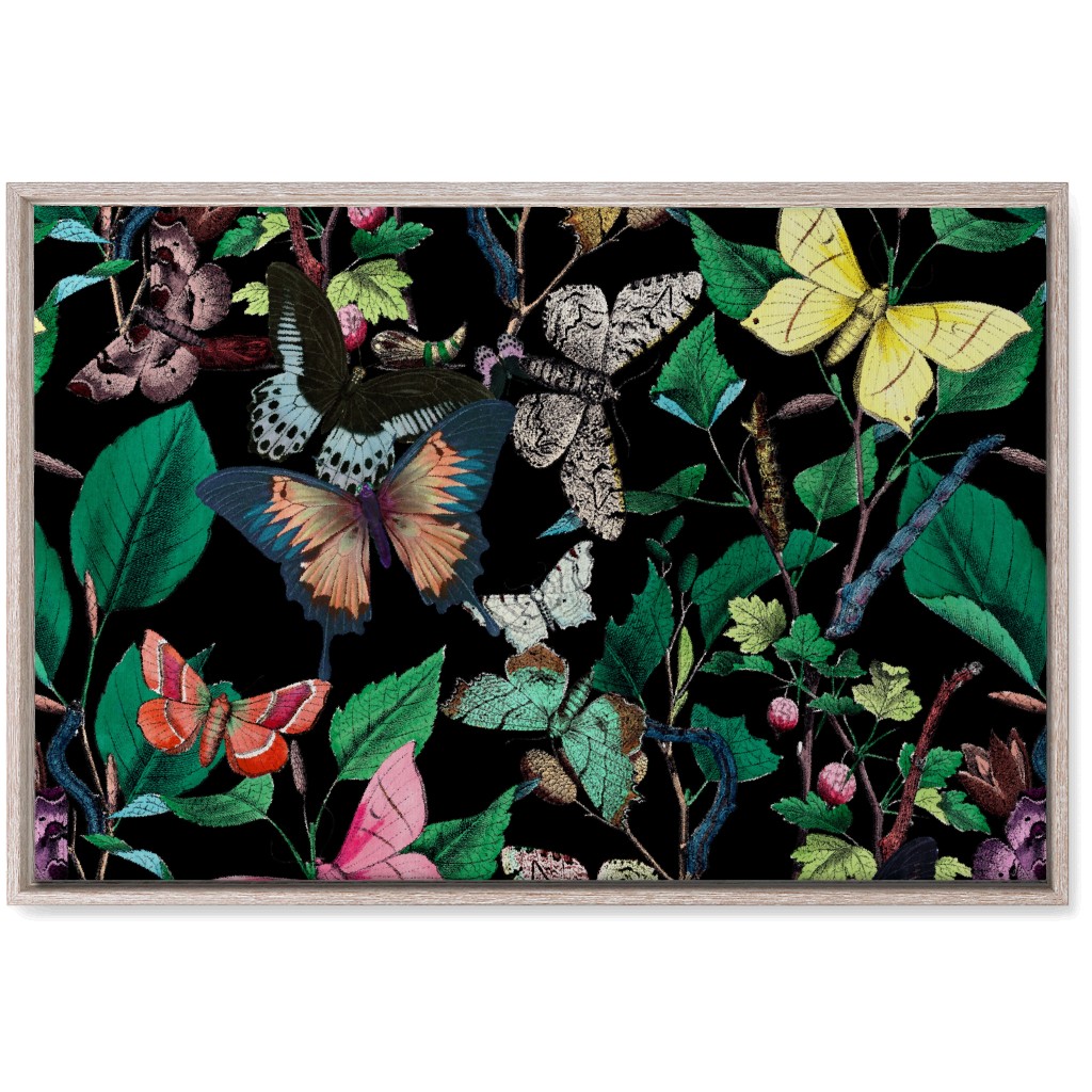 Butterfly Sanctuary - Bright on Black Wall Art, Rustic, Single piece, Canvas, 20x30, Multicolor