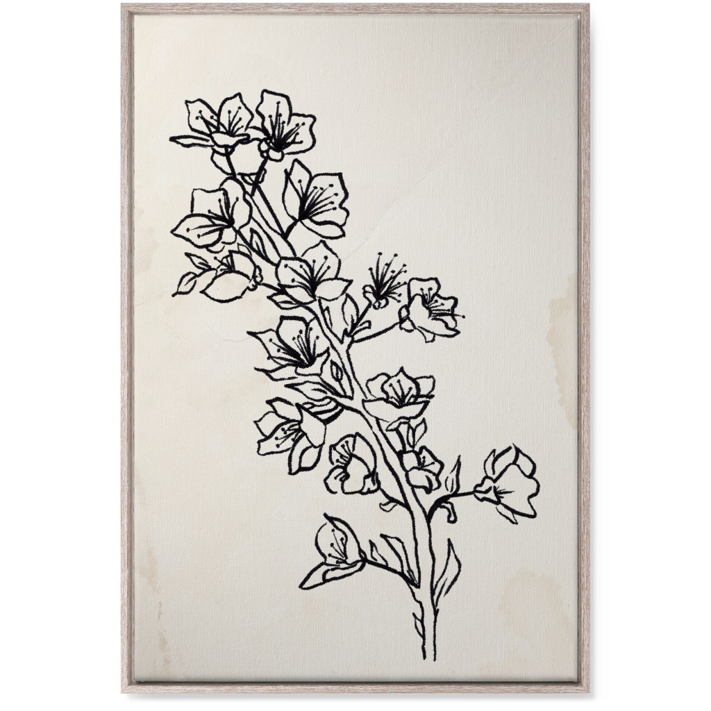 Vintage Plum Tree Sketch - Beige and Black Wall Art, Rustic, Single piece, Canvas, 24x36, Beige