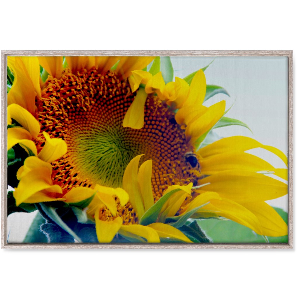 Sunflower and Bee - Yellow Wall Art, Rustic, Single piece, Canvas, 24x36, Yellow