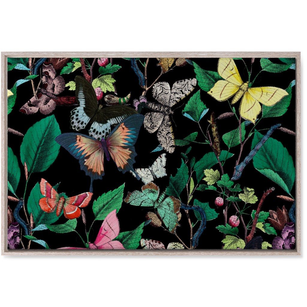 Butterfly Sanctuary - Bright on Black Wall Art, Rustic, Single piece, Canvas, 24x36, Multicolor