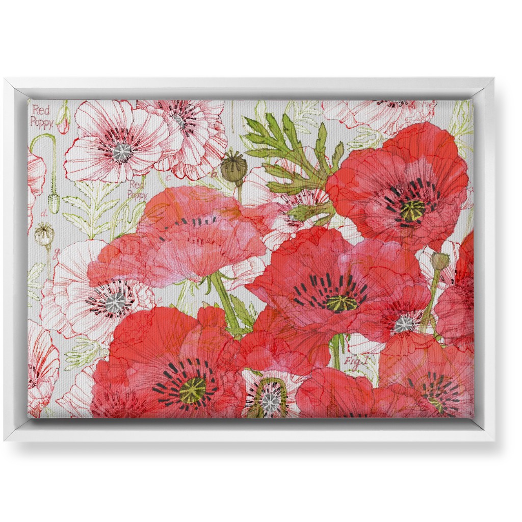 Poppies Romance - Red Wall Art, White, Single piece, Canvas, 10x14, Red
