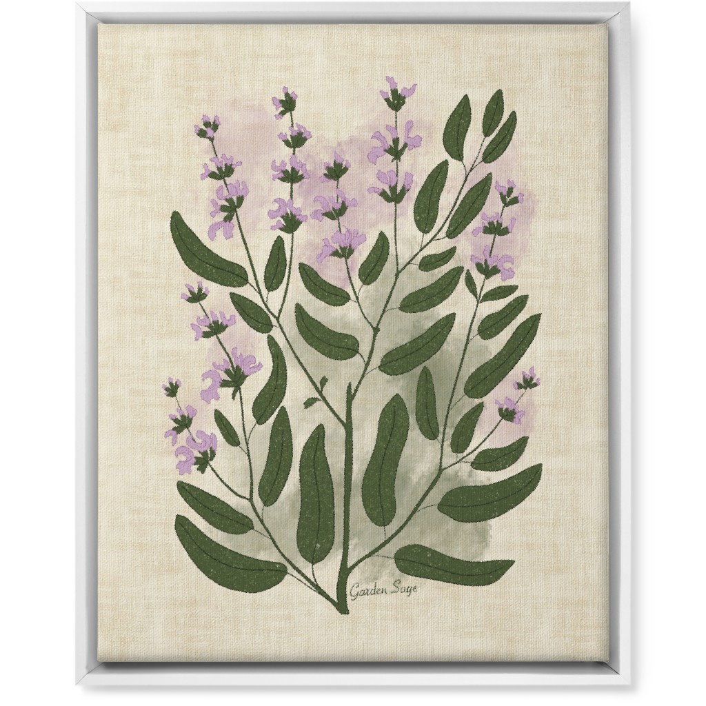Garden Sage Botanical Illustration Wall Art, White, Single piece, Canvas, 16x20, Beige