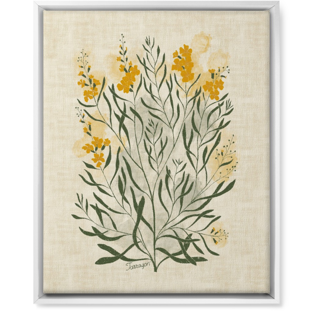 Tarragon - Botanical Illustration Wall Art, White, Single piece, Canvas, 16x20, Beige