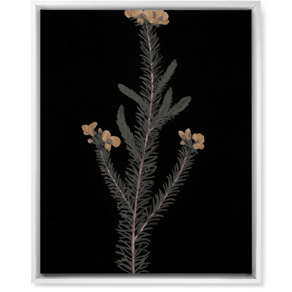 Midnight Botanical - Black and Green Wall Art, White, Single piece, Canvas, 16x20, Black
