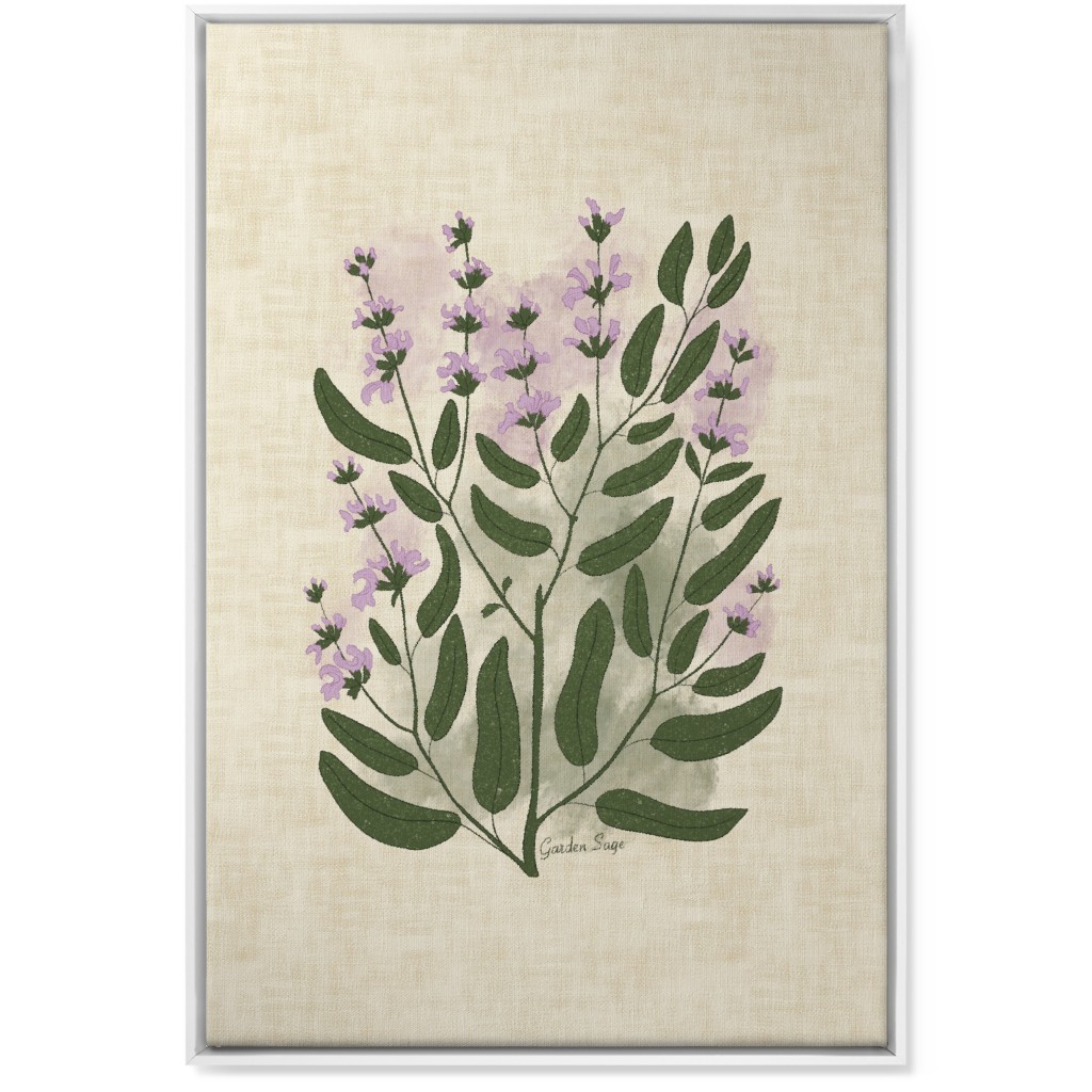 Garden Sage Botanical Illustration Wall Art, White, Single piece, Canvas, 24x36, Beige
