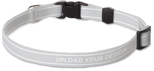 Shutterfly 2025 dog collars