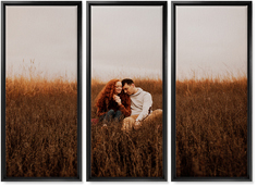 three panoramic 10x24 spread canvas prints