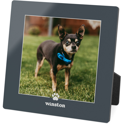 Paw Border Desktop Plaque, Rectangle, 5x5, Gray