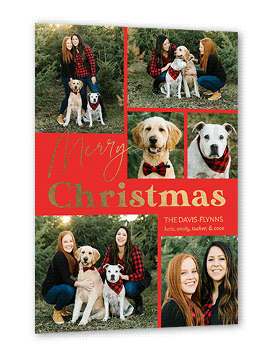 Swanky Message Holiday Card, Gold Foil, Red, 5x7, Christmas, Matte, Personalized Foil Cardstock, Square