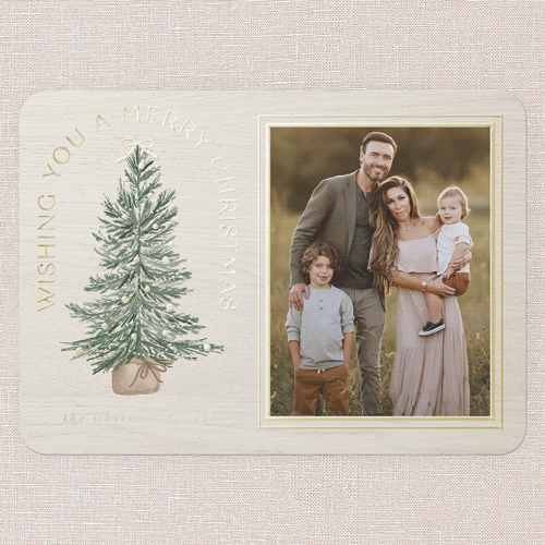 Small Sapling Holiday Card, White, Gold Foil, 5x7, Christmas, Matte, Personalized Foil Cardstock, Rounded, White