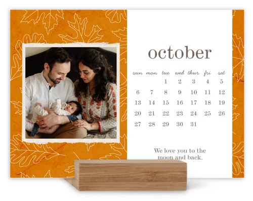 Seasonal Pattern Easel Calendar, Square Corners, Multicolor