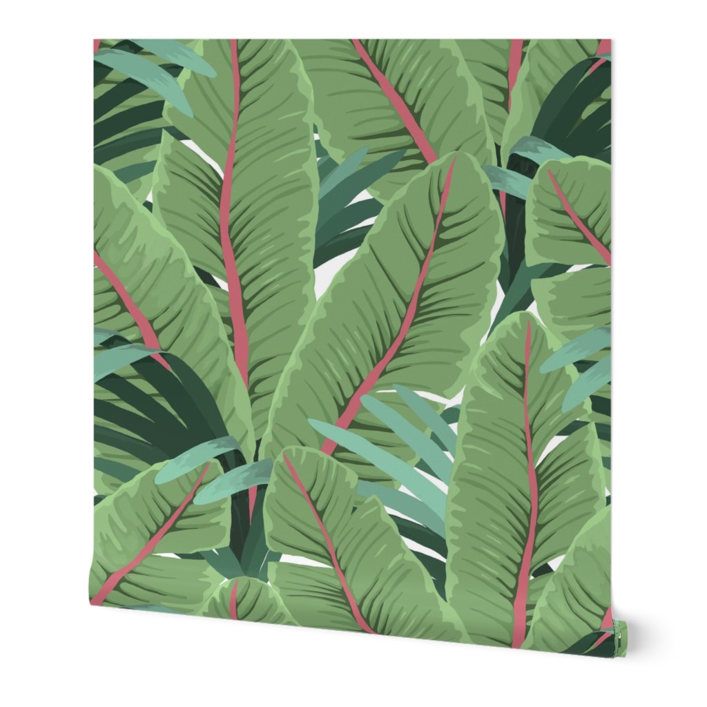 Tropical Banana Leaves - Dark Green Wallpaper, 2'x3', Prepasted Removable Smooth, Green
