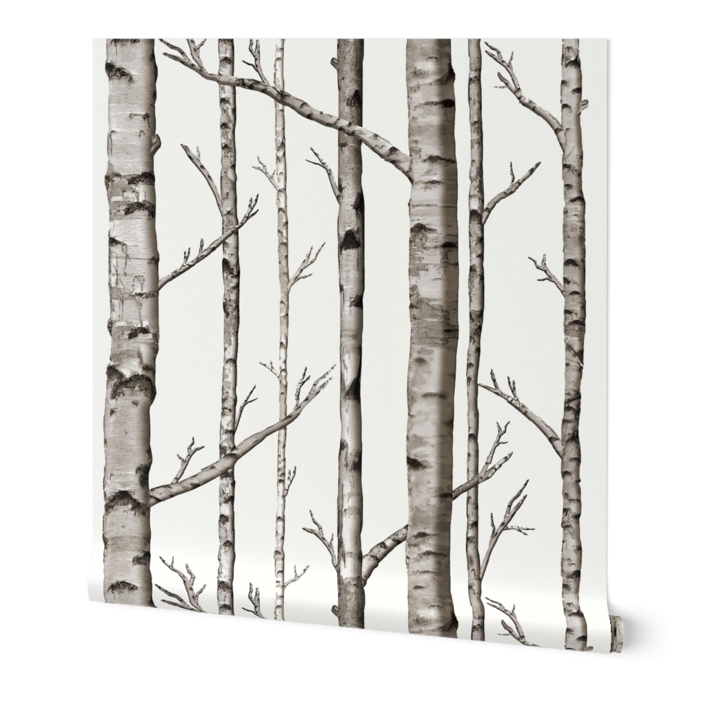 Birch Grove Wallpaper, 2'x9', Prepasted Removable Smooth, Beige