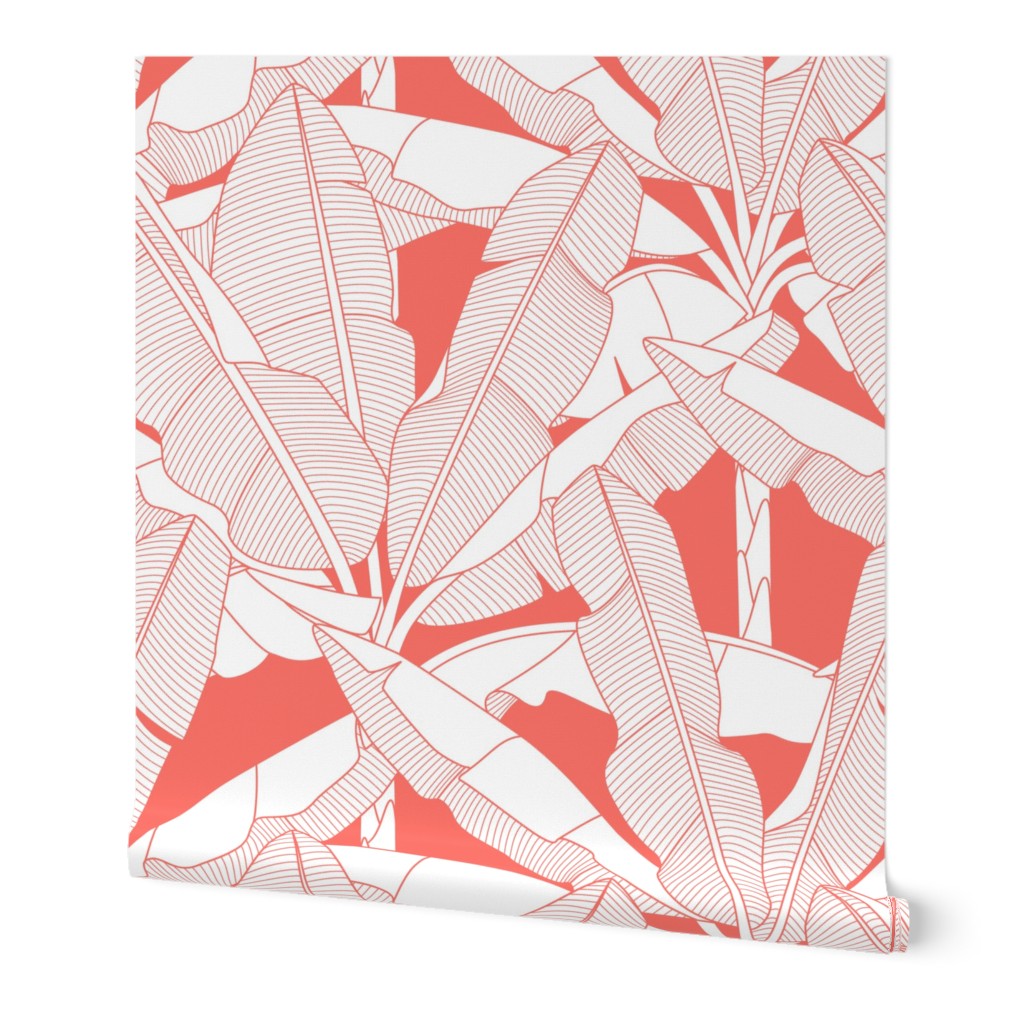 Banana Palms - Coral Wallpaper, 2'x12', Prepasted Removable Smooth, Pink