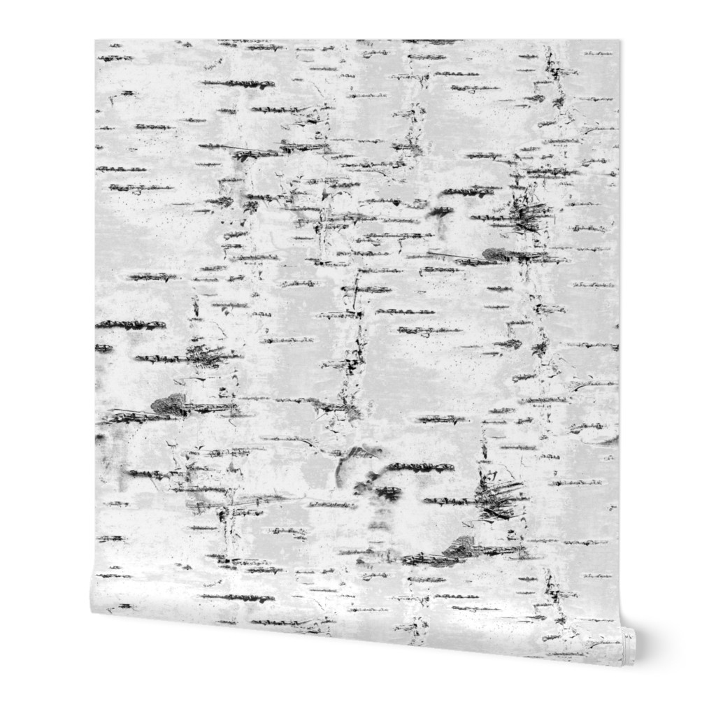 Birch Bark - White, Gray Wallpaper, 2'x12', Prepasted Removable Smooth, Gray