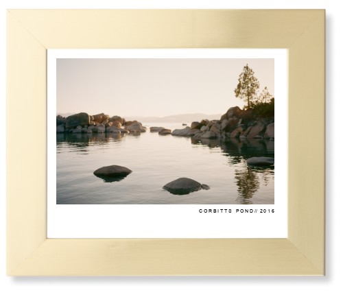 Modern Gallery Framed Print, Matte Gold, Contemporary, None, None, Single piece, 8x10, White, white