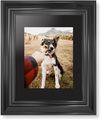 Pet Photo Gallery Framed Print, Black, Classic, Black, Black, Single piece, 8x10, Multicolor, multi