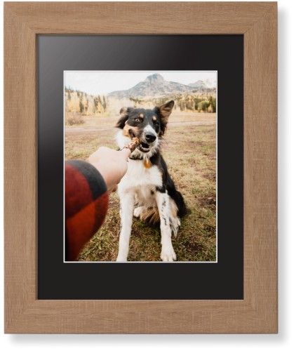 Gifts For Dog Walkers