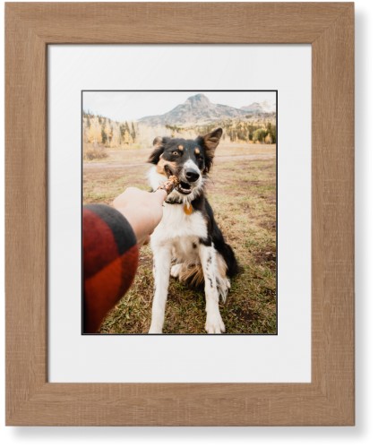 Pet Photo Gallery Framed Print, Natural, Contemporary, Black, White, Single piece, 8x10, Multicolor