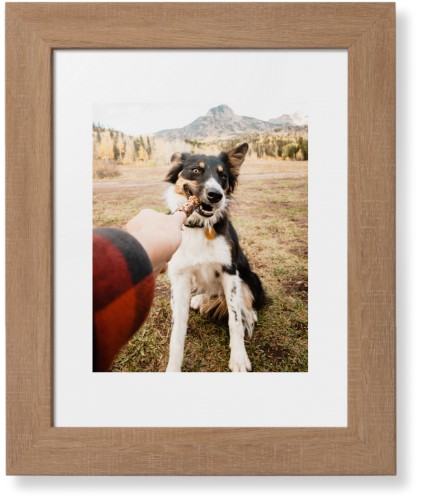 Pet Photo Gallery Framed Print, Natural, Contemporary, White, White, Single piece, 8x10, Multicolor