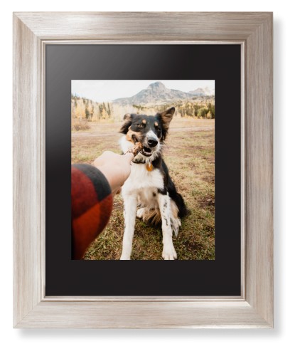Pet Photo Gallery Framed Print, Metallic, Modern, None, Black, Single piece, 8x10, Multicolor, multi