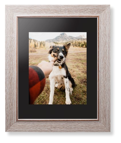 Pet Photo Gallery Framed Print, Rustic, Modern, Black, Black, Single piece, 8x10, Multicolor