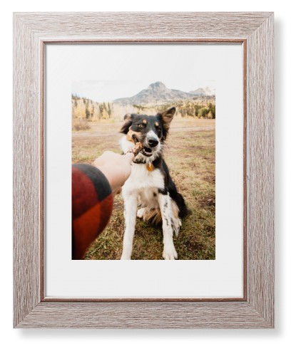 Pet Photo Gallery Framed Print, Rustic, Modern, White, White, Single piece, 8x10, Multicolor