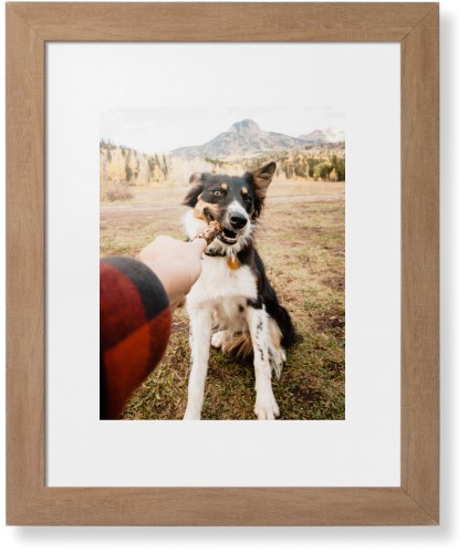 Pet Photo Gallery Framed Print, Natural, Contemporary, None, White, Single piece, 11x14, Multicolor, multi
