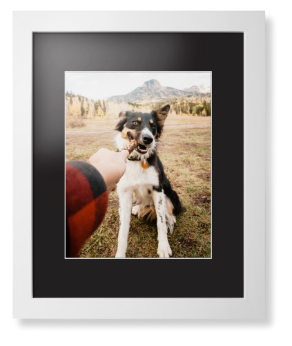 Pet Photo Gallery Framed Print, White, Contemporary, White, Black, Single piece, 11x14, Multicolor, multi