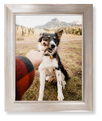 Pet Photo Gallery Framed Print, Metallic, Modern, None, None, Single piece, 11x14, Multicolor