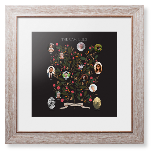Blooming Family Tree Framed Print, Rustic, Modern, White, White, Single piece, 12x12, Black, black