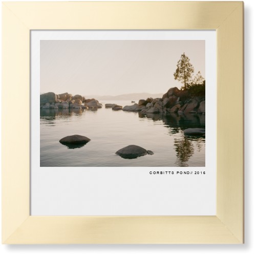 Modern Gallery Framed Print, Matte Gold, Contemporary, None, None, Single piece, 12x12, White