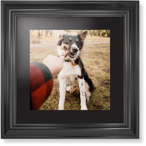 Pet Photo Gallery Framed Print, Black, Classic, Black, Black, Single piece, 12x12, Multicolor, multi