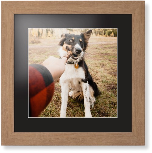 Gifts For Dog Walkers